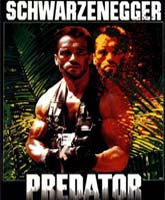 Predator / 